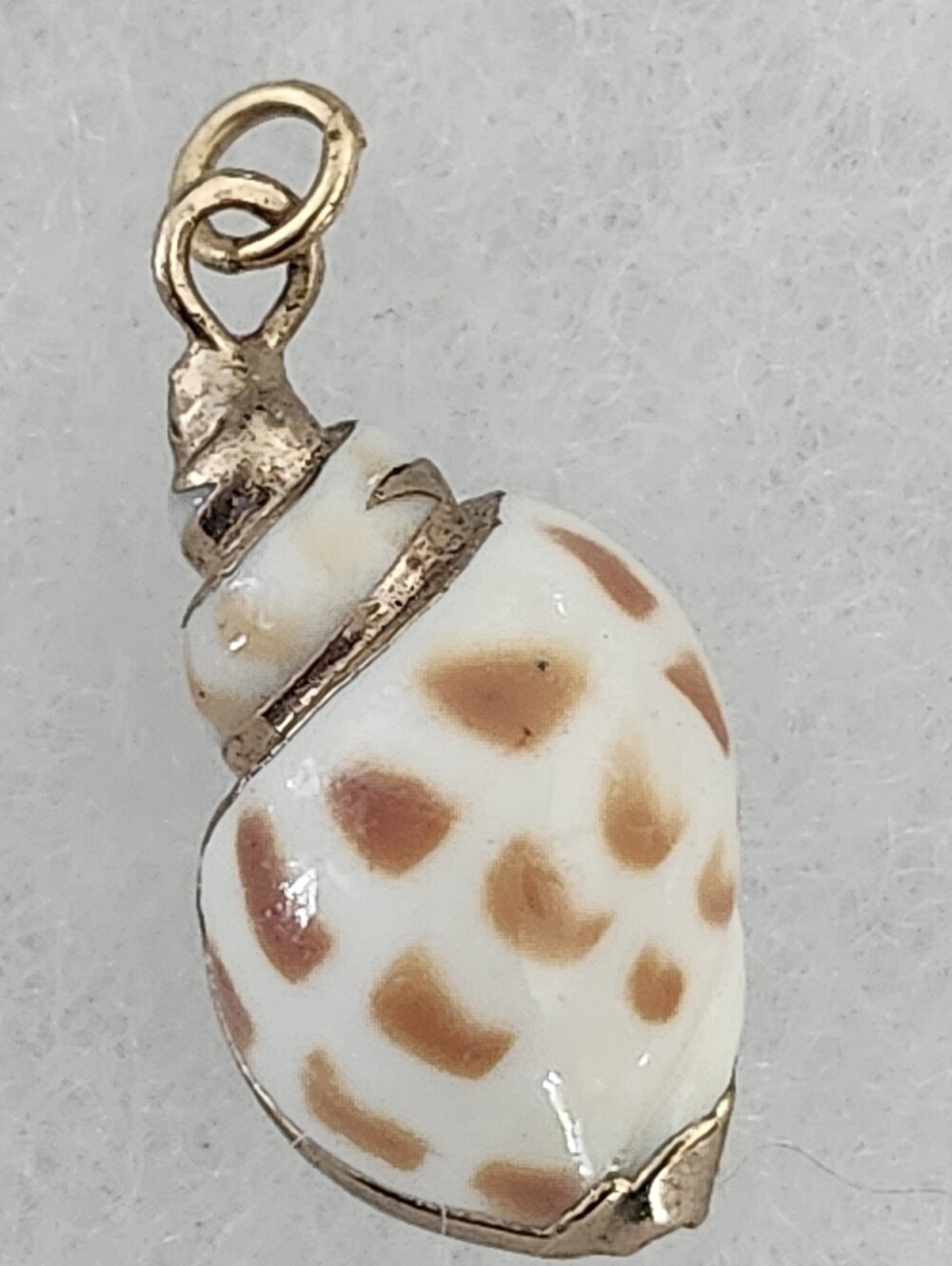 Seashell Pendant Brown & White With Gold Tone Trim & Bail - Picture 5 of 11
